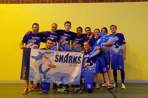 sharks