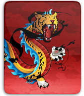 Disc Team Chalons thumbnail