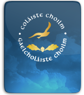 Gaelcholaiste Choilm thumbnail